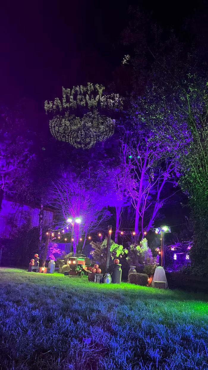 The garden lit for Halloween: a pumpkin projection in the trees, festoon lights strung across the lawn and carved pumpkins along the border.